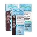 Water Works Waterworks Permanent Powder Hair Color