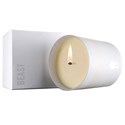 Beast Everyone Candle