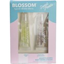 Blossom Sweet Treats Moisturizing Lip Gloss - Lemon Tart & Death By Chocolate 2 pc.