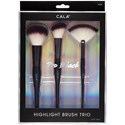 Cala Products Pro Black Highlight Brush Trio