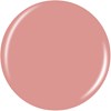 China Glaze Conscious Camelia 0.5 Fl. Oz.