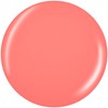 China Glaze 1505CG I Just Cant-Aloupe 0.5 Fl. Oz.