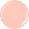 China Glaze 1501CG Life Is Suite 0.5 Fl. Oz.