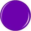 China Glaze 1395CG Plur-Ple 0.5 Fl. Oz.