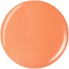 China Glaze 1211CG Sun Of A Peach 0.5 Fl. Oz.