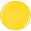 China Glaze Berry Yummy 0.5 Fl. Oz.