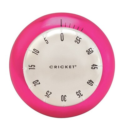 Cricket Color Me Timer Silver/Pink