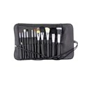 Crown Brush Studio Pro Set- 626 11 pc.