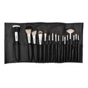 Crown Brush Pro Essential Set- 706 16 pc.