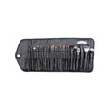 Crown Brush Professional Set with Case- 711 23 pc.