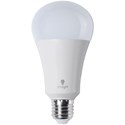 Daylight 15W LED Energy Saving Bulb
