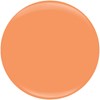 Nail Alliance 619DIP Apricot Beach Bag 1.5 Fl. Oz.