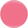 Nail Alliance 253DIP Modelesque 1.5 Fl. Oz.