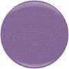 Nail Alliance 616G Purple Sunglasses 0.5 Fl. Oz.