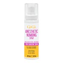 GiGi Anesthetic Numbing Spray 2 Fl.Oz.