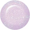 I.B.D. 206BP2 North Wind 64341- Shimmer 2 Fl. Oz.