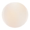 Nail Alliance 611DIP Champagne & Chill 1.5 Fl. Oz.