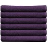 ProTex Towels Plum 12-Pack 16 inch x 27 inch