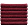 ProTex Towels Brick 12-Pack 16 inch x 27 inch