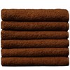 ProTex Towels Chocolate Brown 12-Pack 16 inch x 29 inch