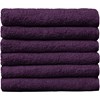 ProTex Towels Plum 12-Pack 16 inch x 29 inch