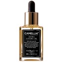 Salon Tech CamelliaXP Ultra Luxury Oil 1 Fl. Oz.