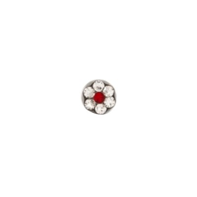 Studex Stainless Steel Large Daisy Apr Crystal Jul Ruby