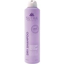 Sutra Beauty Dry Shampoo