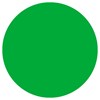 Tomb 45 Magnetic Mat Insert - Green