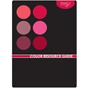 Tressa Professional Color Manual
