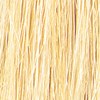 Tressa Professional 12G - Super Ultra Light Golden Blonde 2 Fl. Oz.