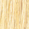 Tressa Professional 12G - Super Ultra Light Golden Blonde 2 Fl. Oz.