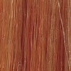 Tressa Professional 8C/G - Medium Butterscotch Strawberry Blonde 2 Fl. Oz.