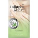 Voesh New York Collagen Gloves with Cannabis Seed Oil
