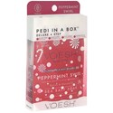 Voesh New York Pedi in a Box (Deluxe 4 Step)- Peppermint Swirl Limited Edition